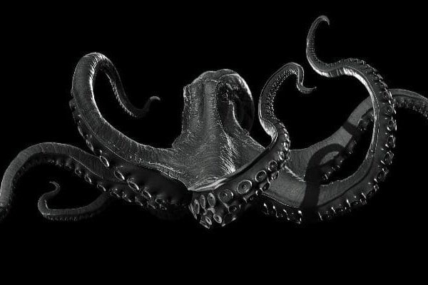Ссылки зеркала на kraken kraken dark link