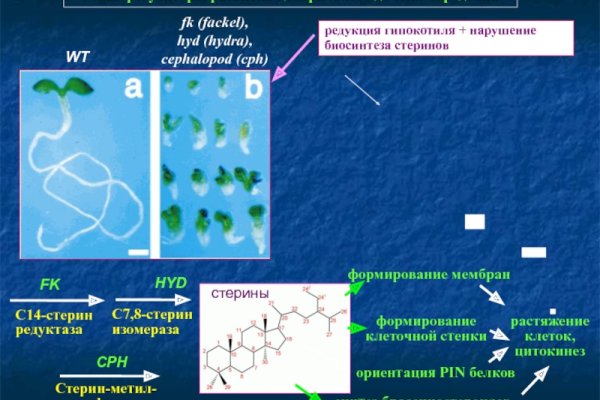 Кракен актуальная ссылка тор