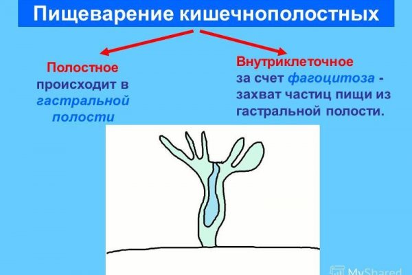 Официальный сайт даркнет