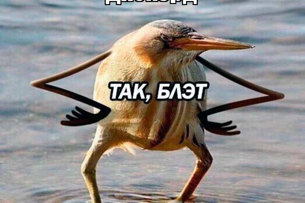 Кракен зеркало на тор