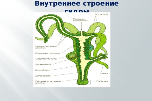 Кракен зеркало сайта vtor run