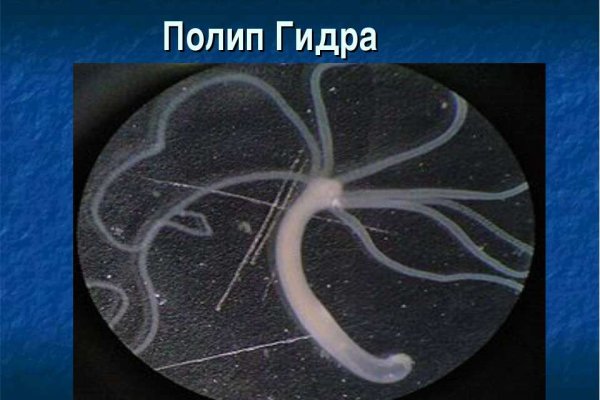 Кракен ссылка онион зеркало