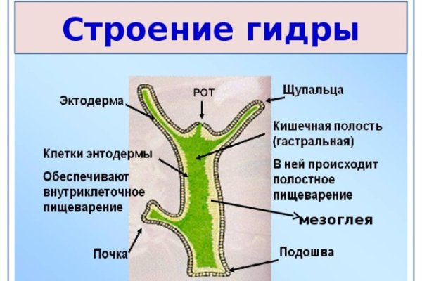 Кракен современный даркнет маркетплейс