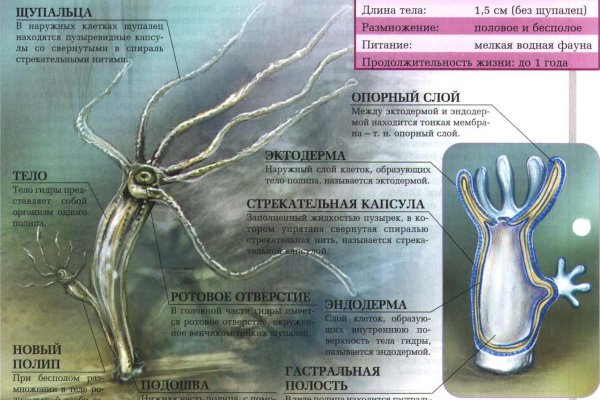 Kraken зеркало kraken link top